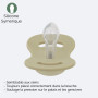 Sucette Silicone dental symétrique