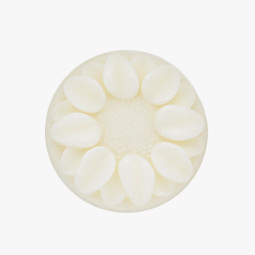 Shampoing Solide Doux sans Huile Essentielle – Le Nature