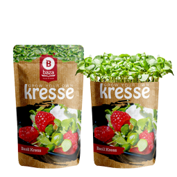 Kit de culture de germes - 5 variétés gourmandes