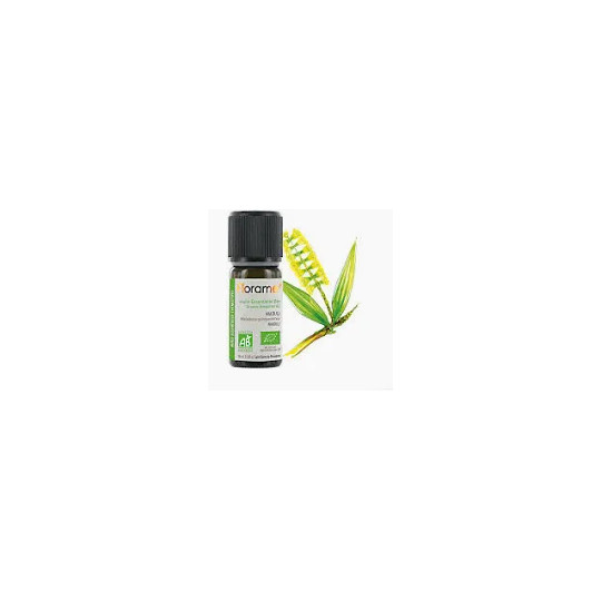 Huile essentielle de Niaouli bio Florame