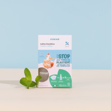 Dentifrice menthe Pimpant – Kit découverte bouteille + recharge