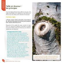 J’apprends à tailler mes arbres d'Alain Pontoppidan