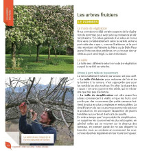 J’apprends à tailler mes arbres d'Alain Pontoppidan