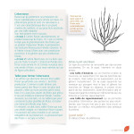 J’apprends à tailler mes arbres d'Alain Pontoppidan