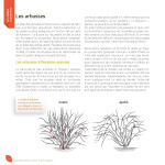 J’apprends à tailler mes arbres d'Alain Pontoppidan