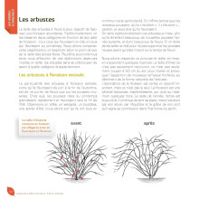 J’apprends à tailler mes arbres d'Alain Pontoppidan