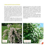 J’apprends à tailler mes arbres d'Alain Pontoppidan