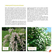 J’apprends à tailler mes arbres d'Alain Pontoppidan