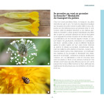 Des fleurs et des pollinisateurs plein mon jardin de Sylvie La Spina