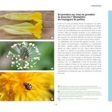 Des fleurs et des pollinisateurs plein mon jardin de Sylvie La Spina