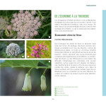 Des fleurs et des pollinisateurs plein mon jardin de Sylvie La Spina