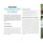 Des fleurs et des pollinisateurs plein mon jardin de Sylvie La Spina