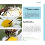 Des fleurs et des pollinisateurs plein mon jardin de Sylvie La Spina