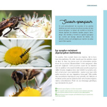 Des fleurs et des pollinisateurs plein mon jardin de Sylvie La Spina