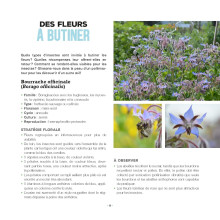 Des fleurs et des pollinisateurs plein mon jardin de Sylvie La Spina