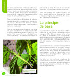 Je ne jardine que le week-end ! de Sandrine Boucher et Alban Delacour