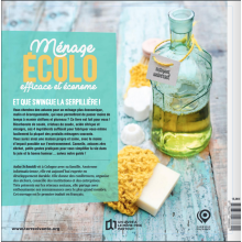 Ménage écolo efficace et économe, de Anke Schmidt