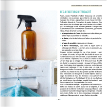 Ménage écolo efficace et économe, de Anke Schmidt