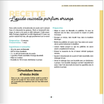 Ménage écolo efficace et économe, de Anke Schmidt