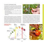 Mon potager riche en saveurs ! d'Aymeric Lazarin