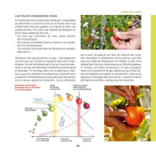 Mon potager riche en saveurs ! d'Aymeric Lazarin