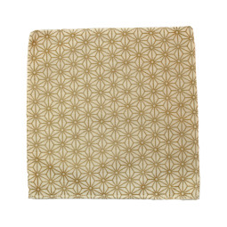 Sopalin Lavable zéro déchet en coton biologique