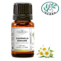 Huile essentielle de Camomille Romaine