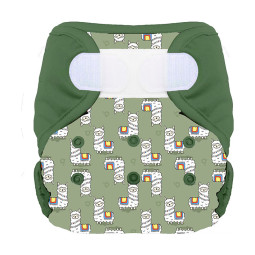 Couches lavables Bum diapers TE2