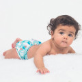 Couche lavable Applecheeks TE1  All in one