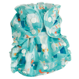 Couche lavable Applecheeks TE1  All in one