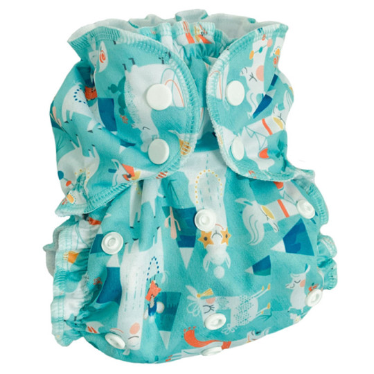 Couche lavable Applecheeks TE1  All in one