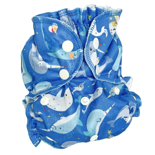 Couche lavable Applecheeks TE1  All in one