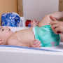 Couche lavable Applecheeks TE1  All in one