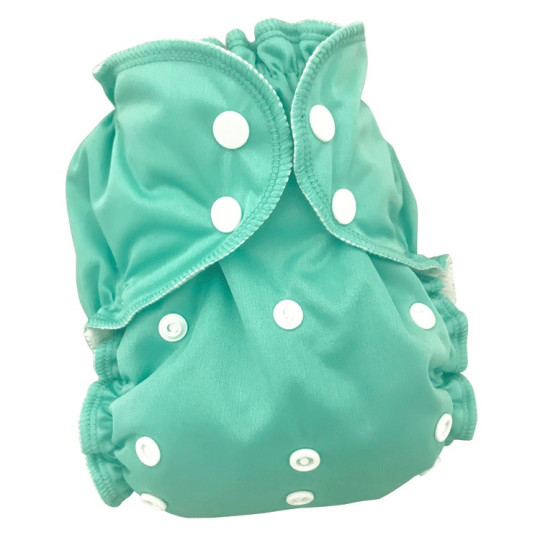 Couche lavable Applecheeks TE1  All in one